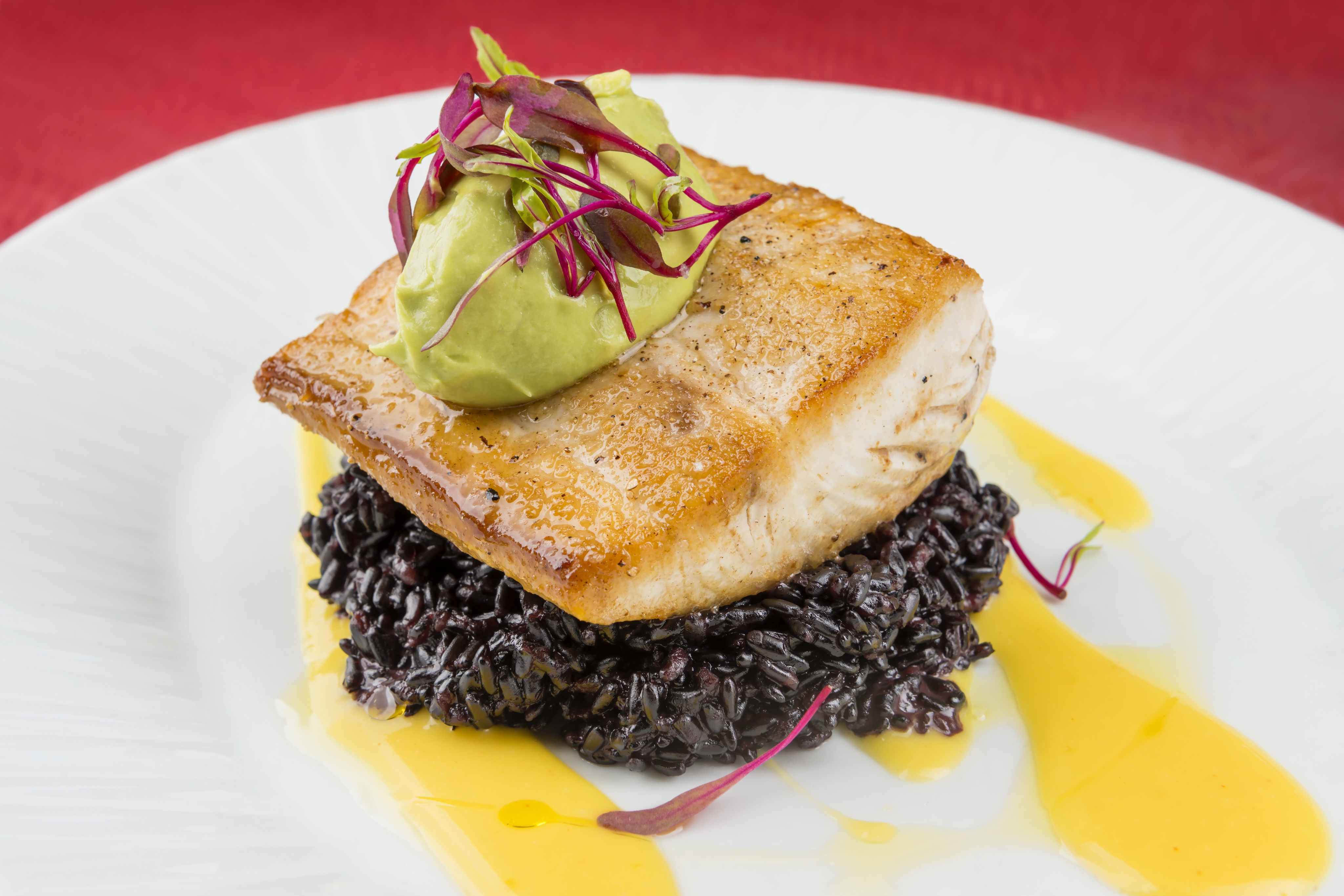 A gallery-worthy dish, this seared fish fillet topped with green garnish is served on black rice with a yellow sauce on a pristine white plate.