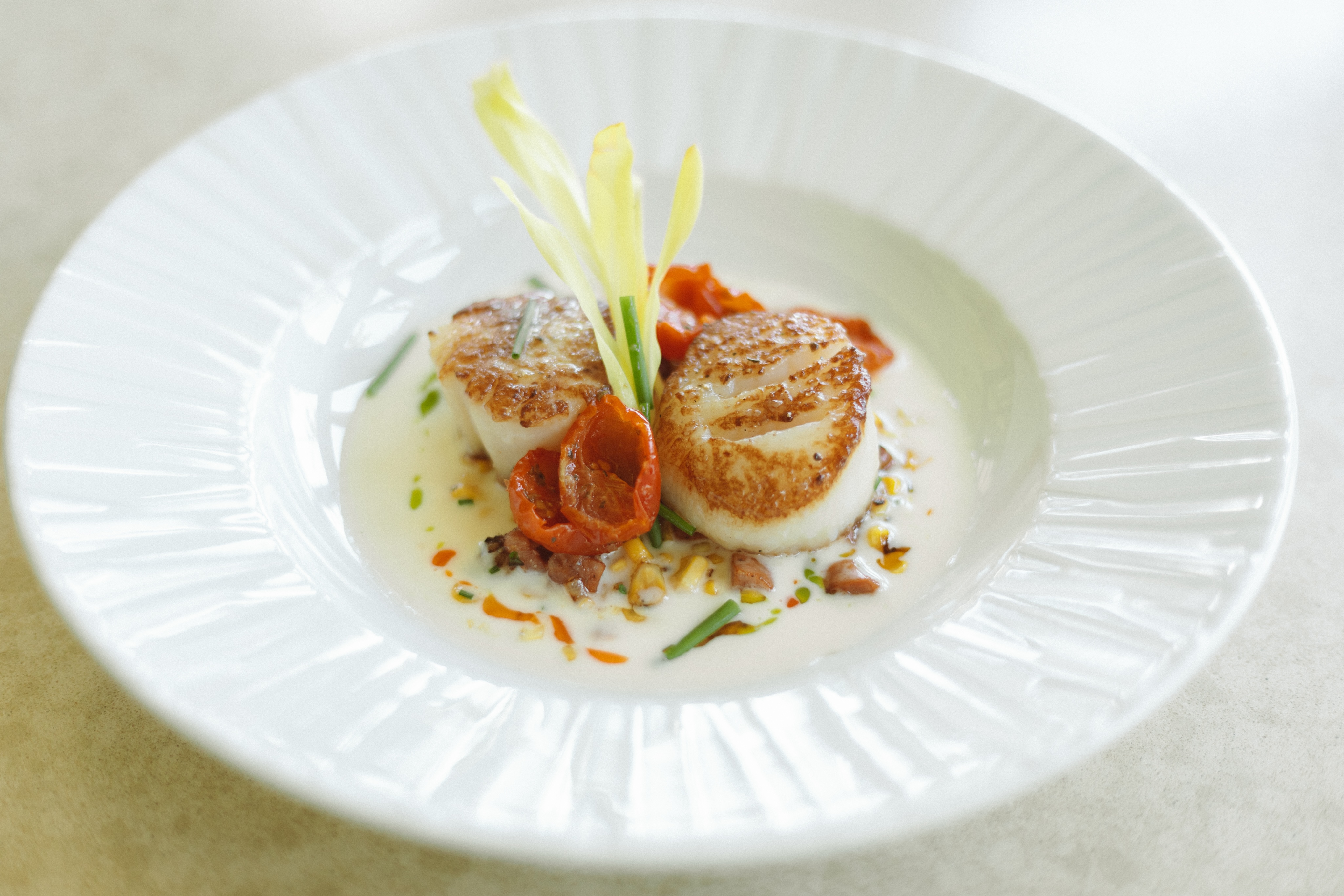 A white plate with two seared scallops, garnished with grilled tomatoes and flower petals, served on a bed of creamy sauce with diced vegetables—a dish worthy of featuring on any gourmet website homepage.