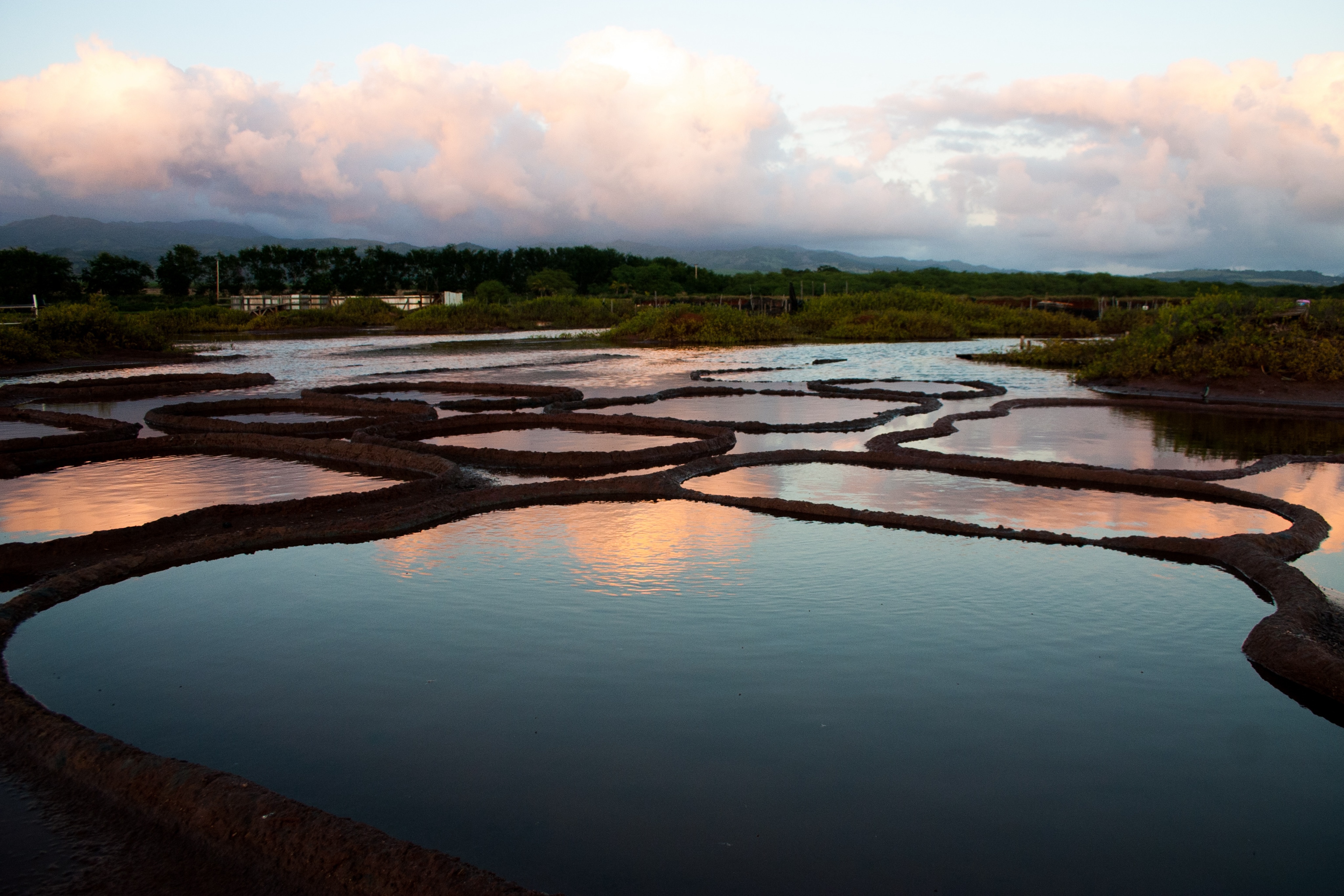 A landscape view of shallow ponds separated by narrow land strips, reflecting the pink-tinted sky during sunset, with vegetation and clouds in the background about.