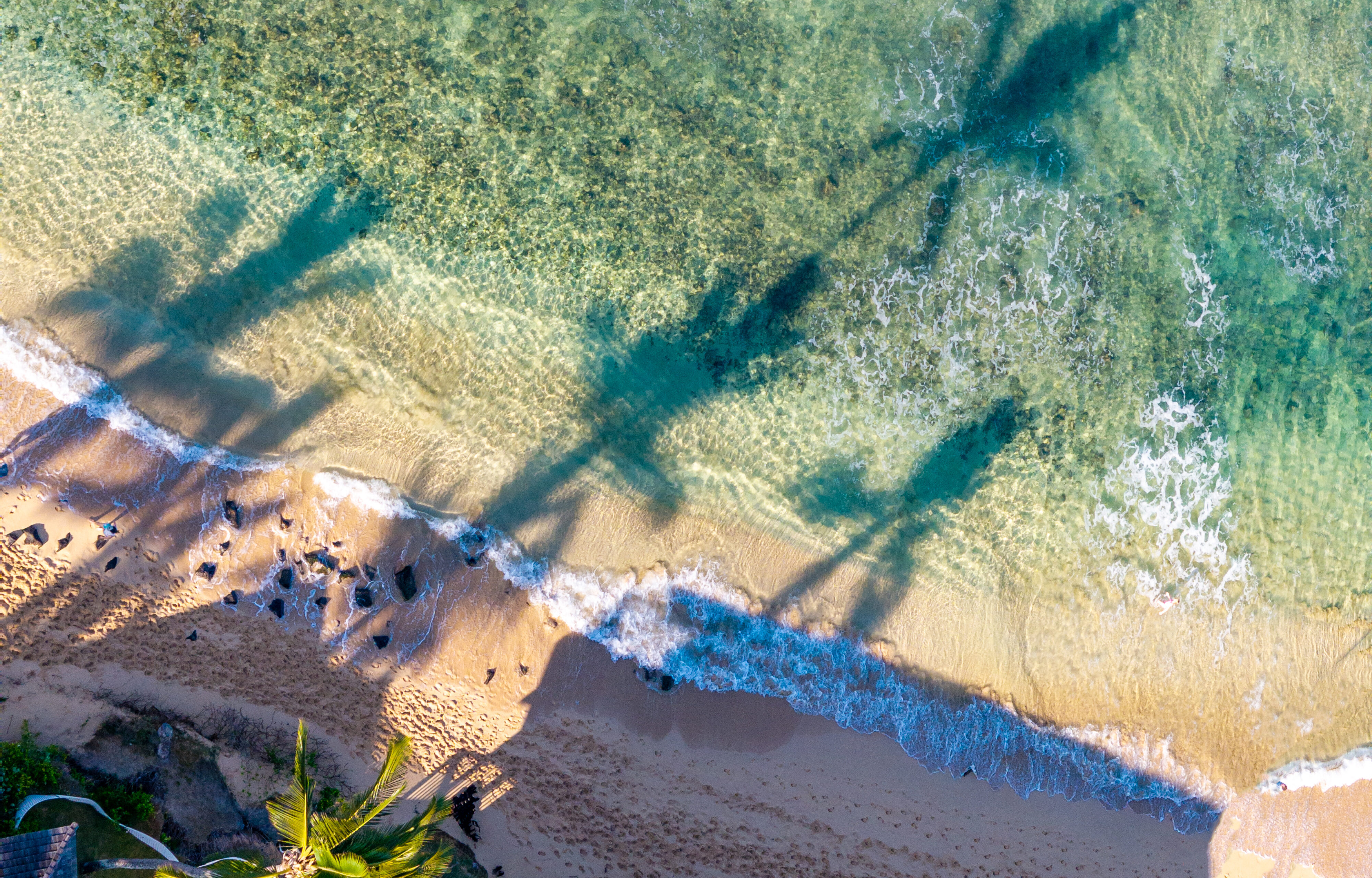 Aerial view of clear turquoise water, sandy beach, and large palm tree shadows cast across the shoreline.