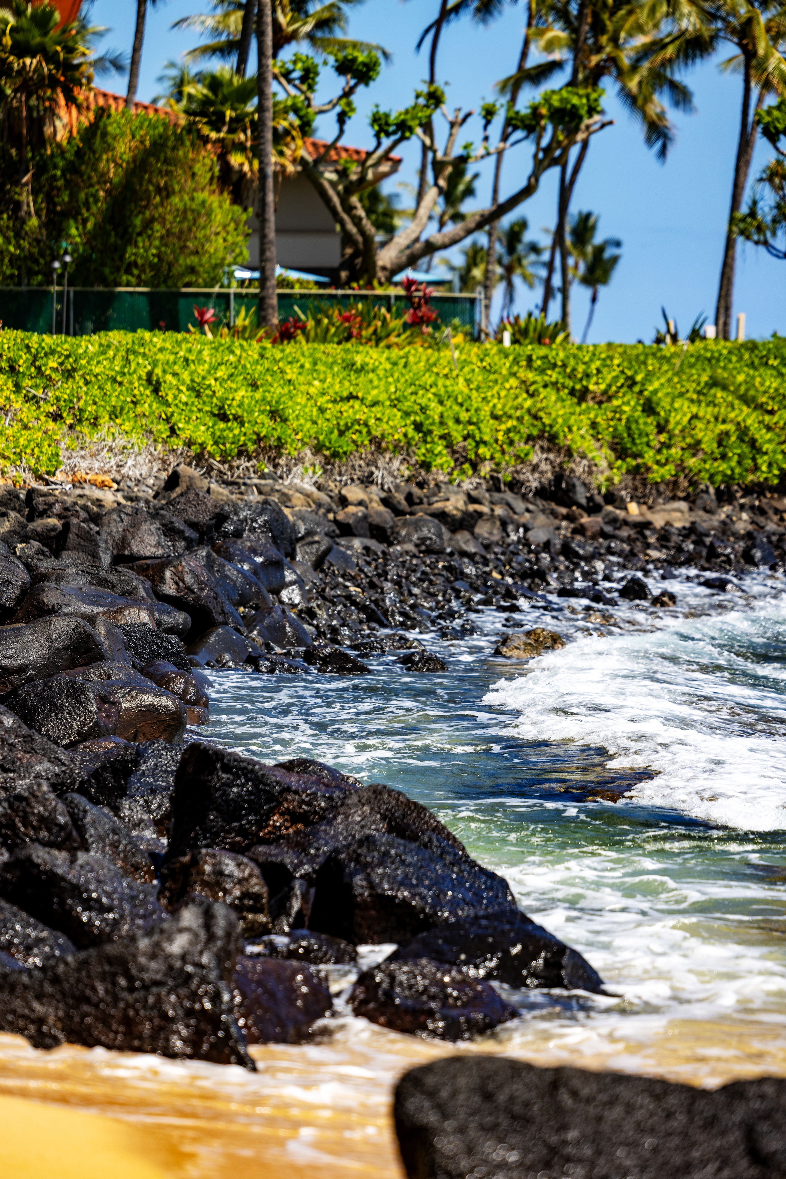 Waves crash against black volcanic rocks along a sandy beach, with green shrubs, palm trees, and a house visible in the background under a clear blue sky.